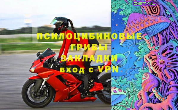 соль ск Надым