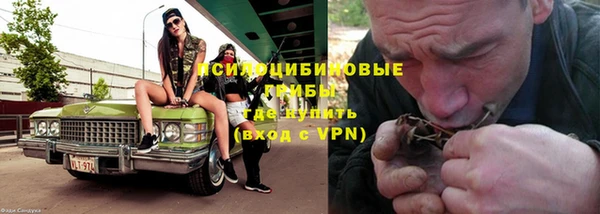 соль ск Надым
