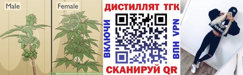 цены   Цоци-Юрт  Дистиллят ТГК Wax 