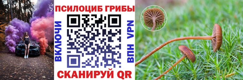 Галлюциногенные грибы GOLDEN TEACHER  Цоци-Юрт 