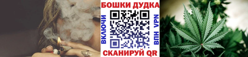 Шишки марихуана сатива  кракен ССЫЛКА  Цоци-Юрт  где можно купить наркотик 